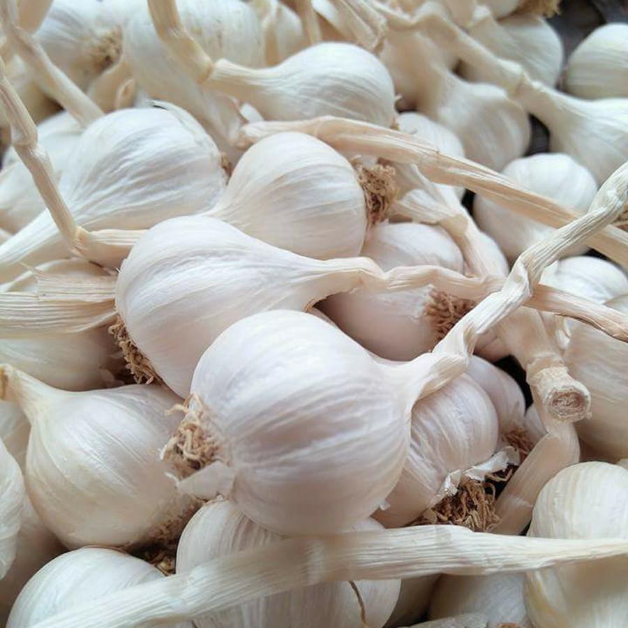 Tỏi Khô Ông Chà Và 1kg (Dried garlic)