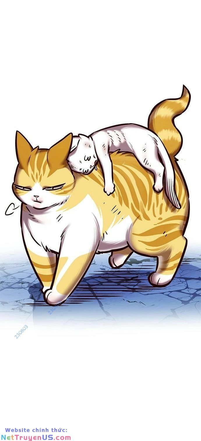 biến thân thành mèo chapter 275 40