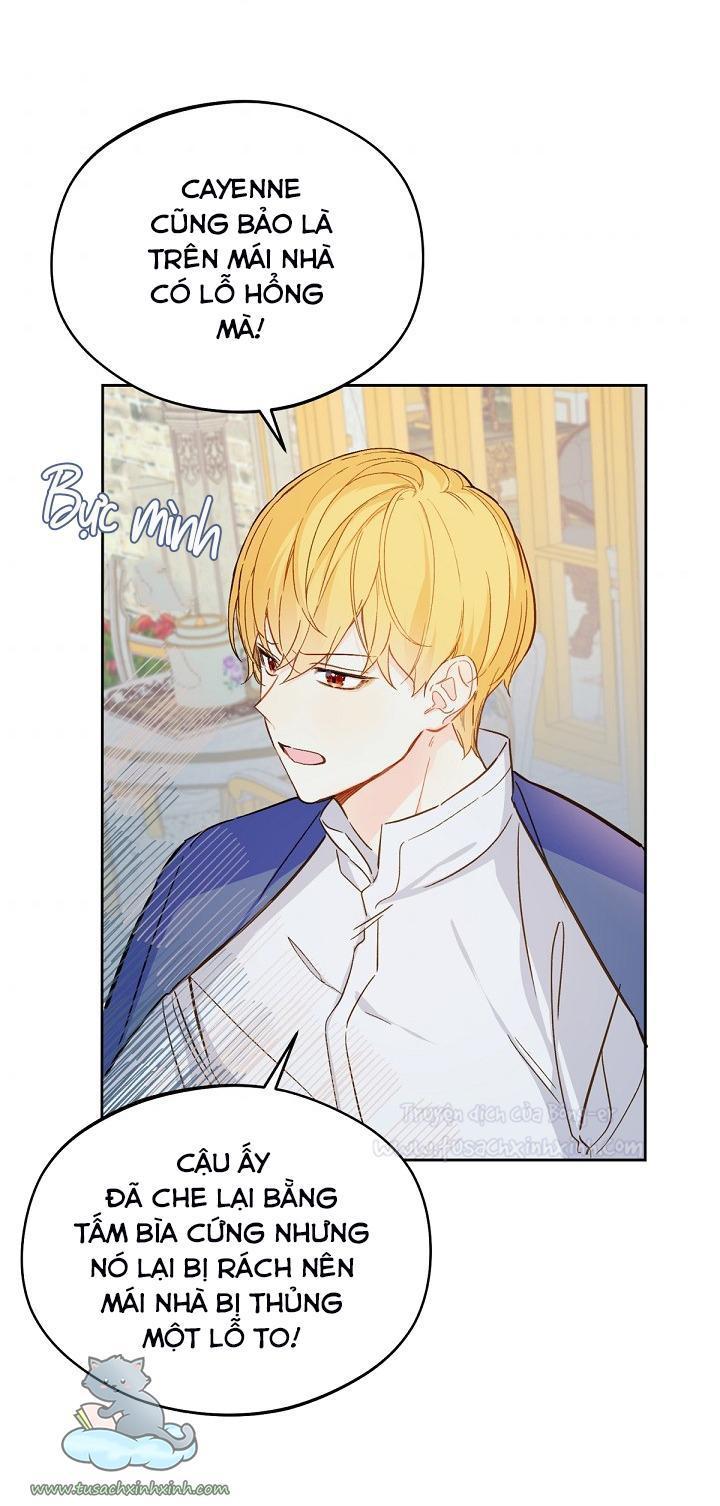 trang trại hạt dẻ cạnh hoàng cung chapter 14 8