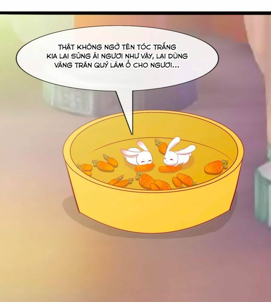 thỏ yêu tiểu vương phi chapter 50 2