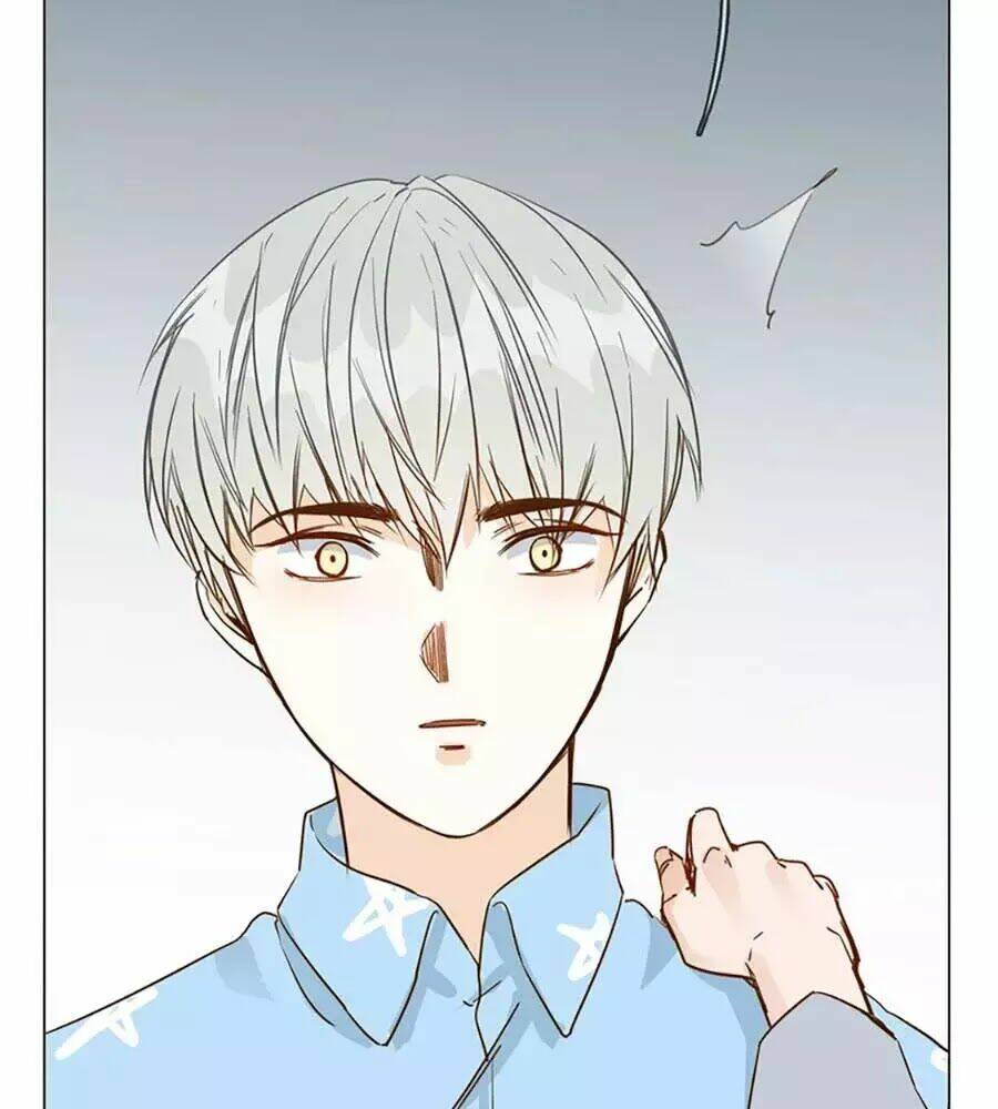 ngôi sao vụn vỡ chapter 31 46