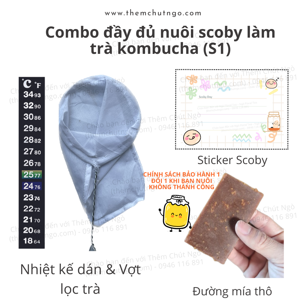 Combo Trà Kombucha 2L đầy đủ nguyên liệu nuôi Scoby làm trà Kombucha (dùng để làm 1,5 lít)