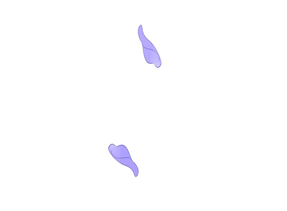 nhật ký dạy dỗ của gia tộc đáng yêu chapter 73 46