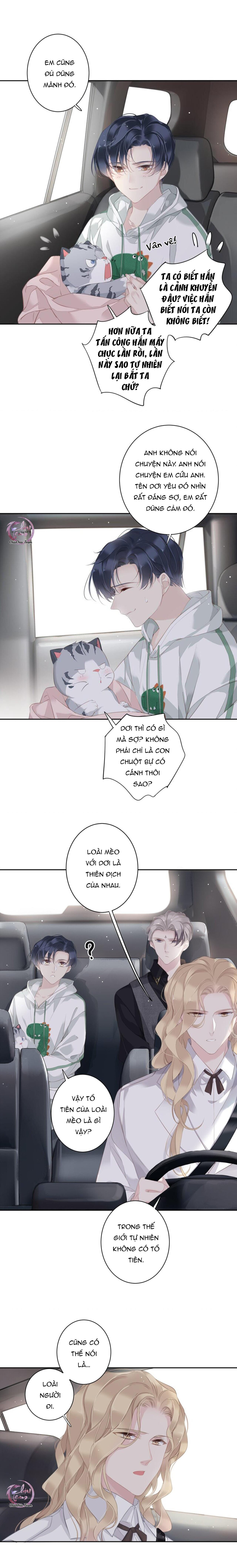 cuộc mai mối vượt giống loài chapter 37 4