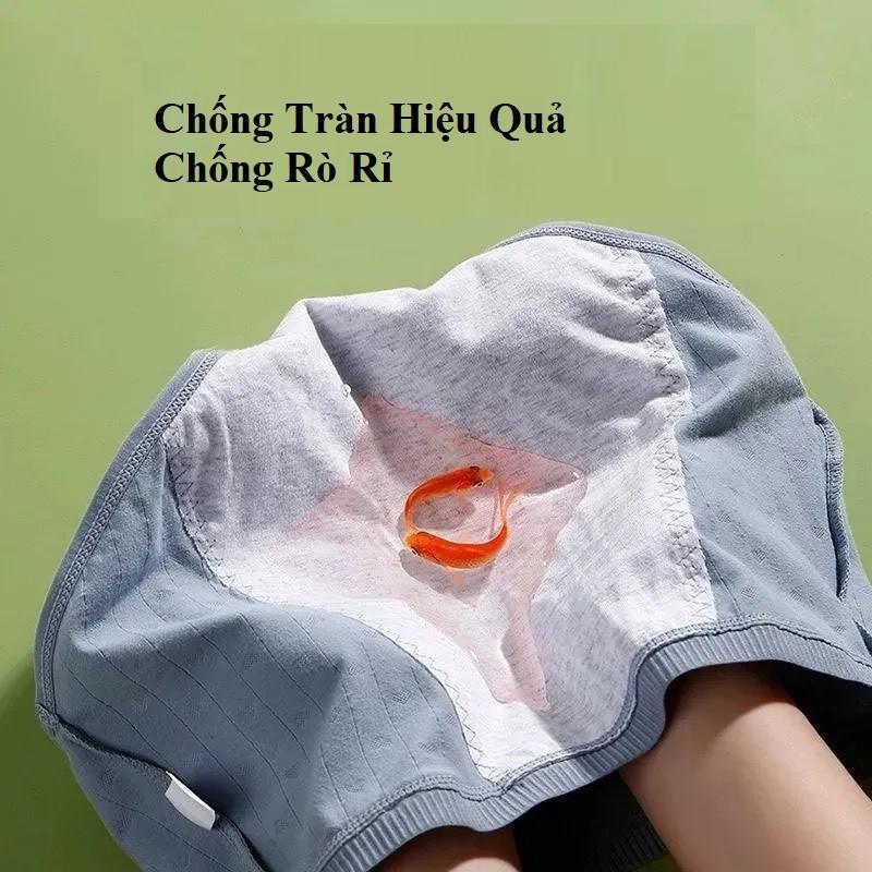 Quần Lót Nữ Nguyệt San Chống Tràn Có Túi Đựng Miếng Dán Giữ Ấm Bụng 006