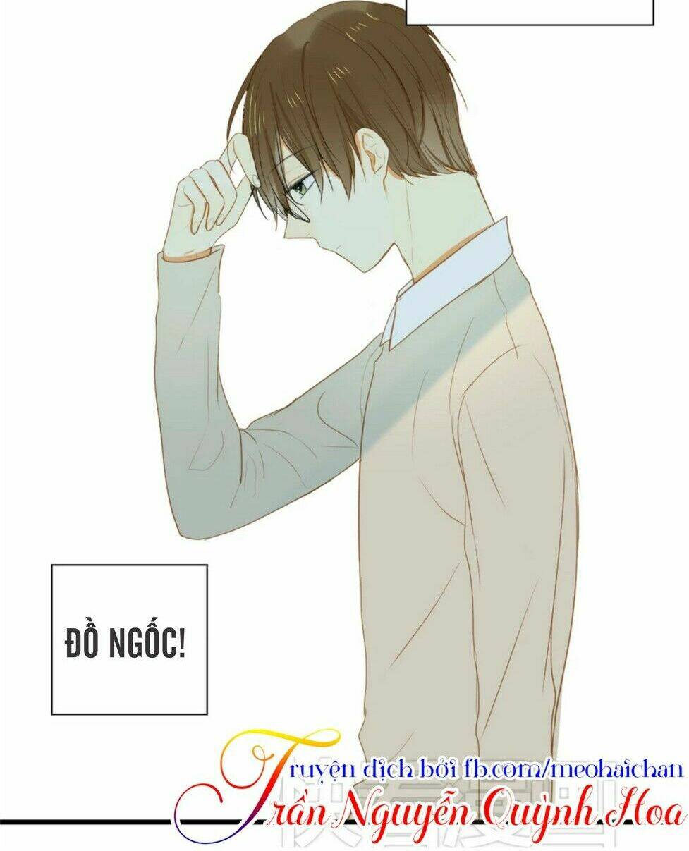 điều giáo quan hệ chapter 8 5