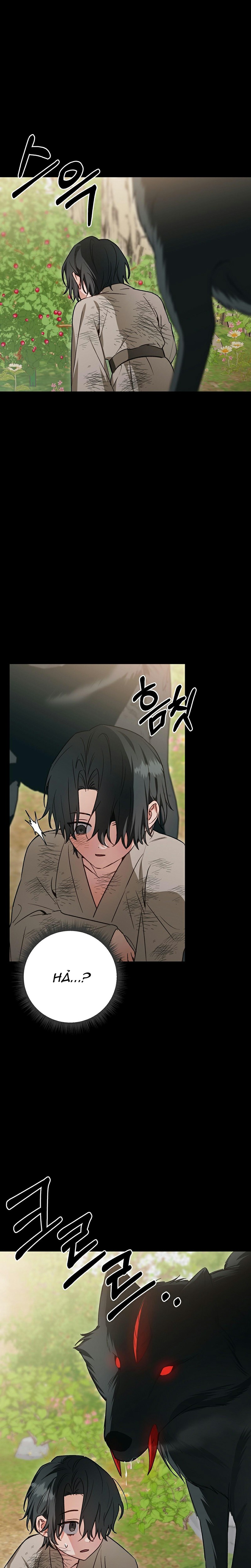 đệ tử ở thế giới khác đã bắt cóc ta chapter 11 16