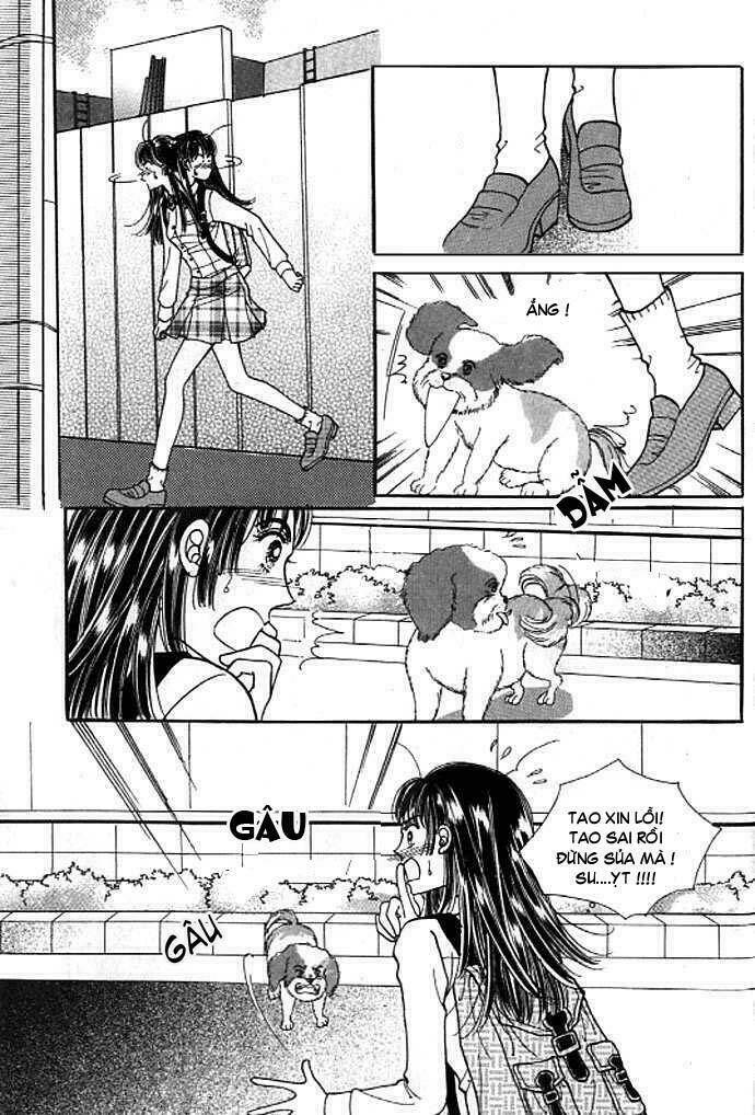 cutie boy chapter 10 19