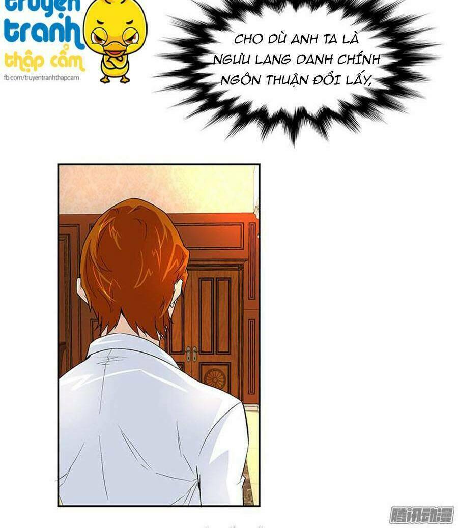 cường sủng hào môn tiểu manh thê chapter 15 16