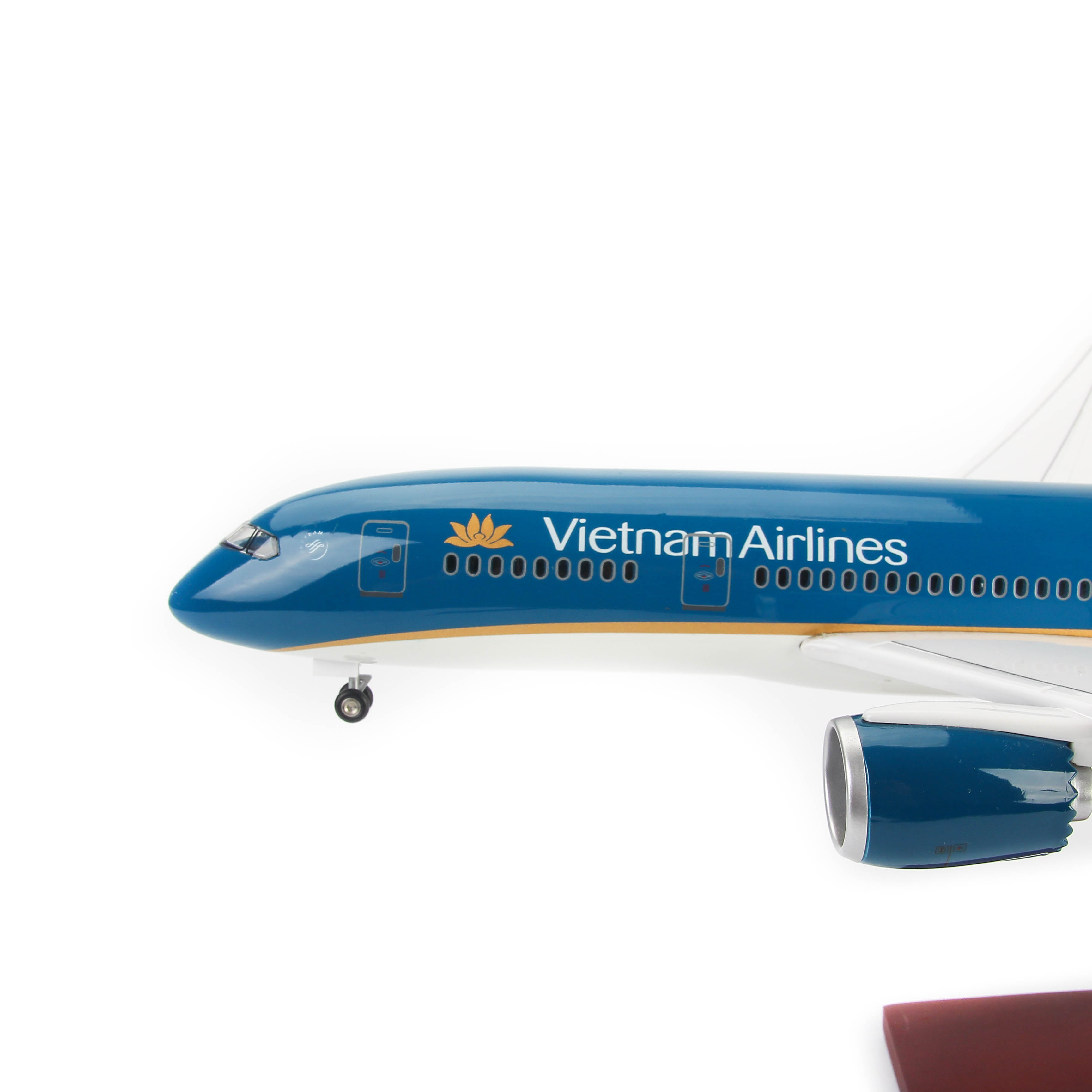 Mô hình máy bay Vietnam Airlines lắp ráp (47cm)-Xanh dương đậm,có đèn LED