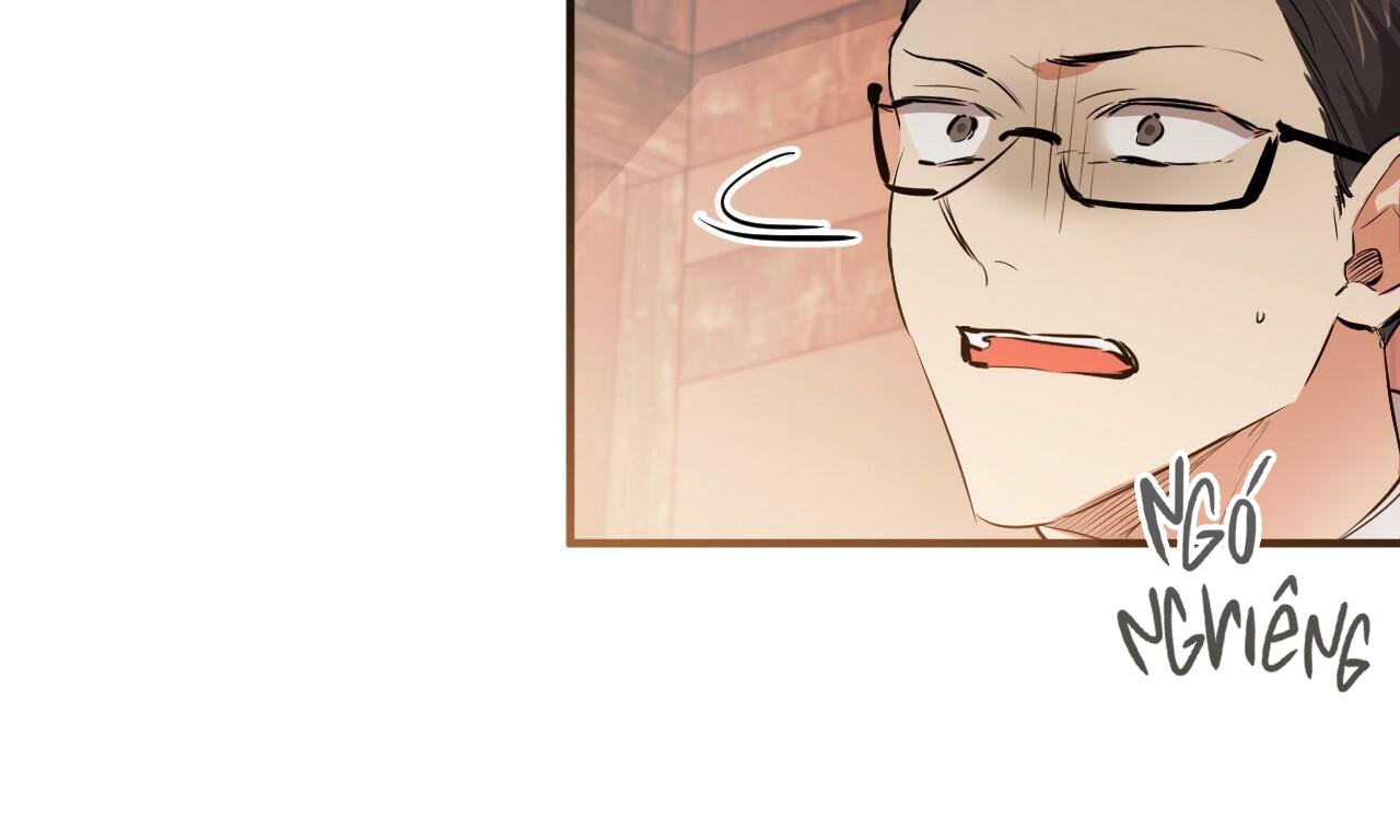 những chú thỏ của hapypy chapter 49 79