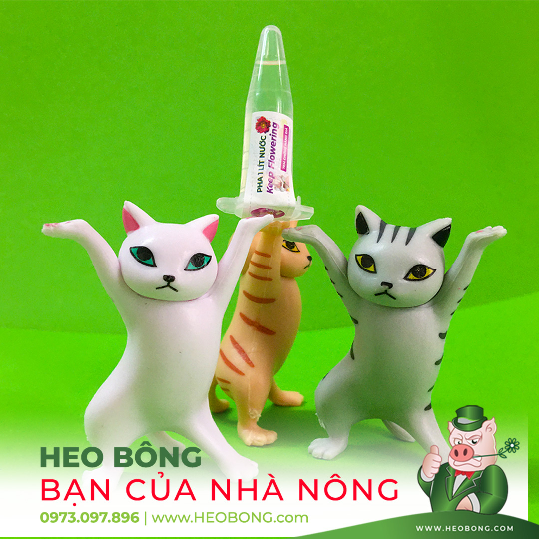 Nước Cắm Hoa Lâu Tàn Keep Flowering