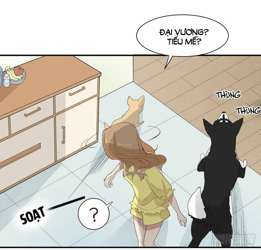 nguyệt lão không cho phép tôi yêu đương chapter 3 43