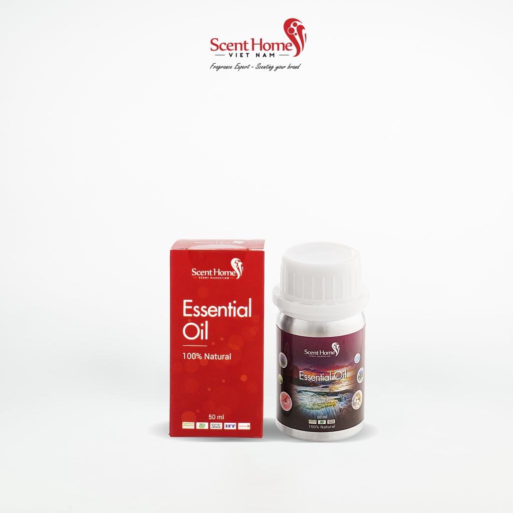 Tinh dầu Scent Homes - mùi hương