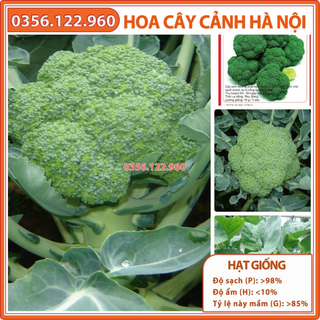 Hạt giống rau súp lơ, hoa lơ xanh F1 chất lượng tốt, năng suất cao - Gói 1g - Shop hoa cây cảnh Hà Nội