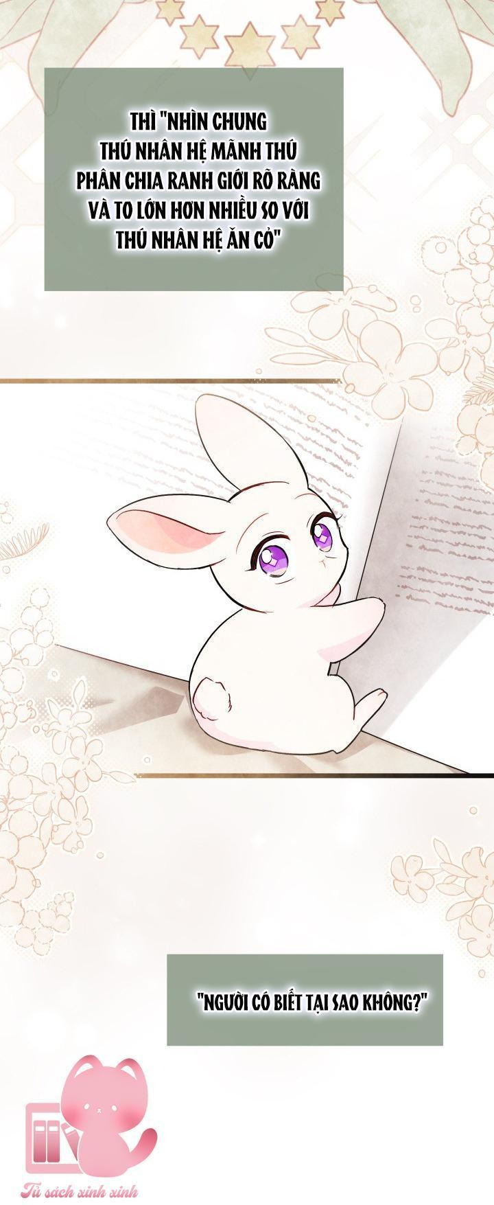 quan hệ cộng sinh giữa báo đen và thỏ trắng chapter 104 19