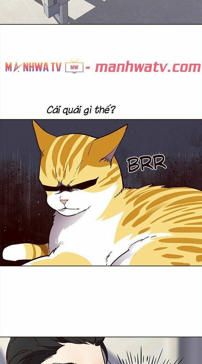 biến thân thành mèo chapter 28 52