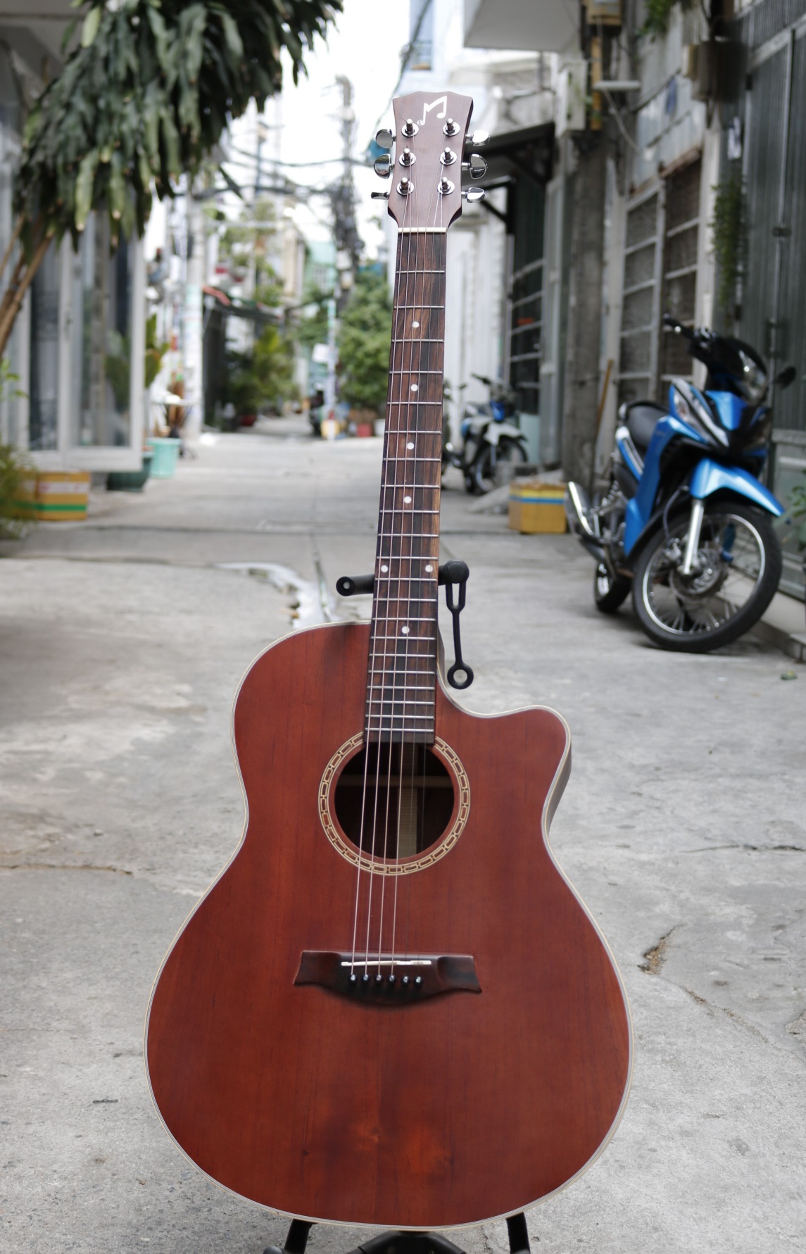 Đàn Guitar Acoustic Gỗ Hồng Đào