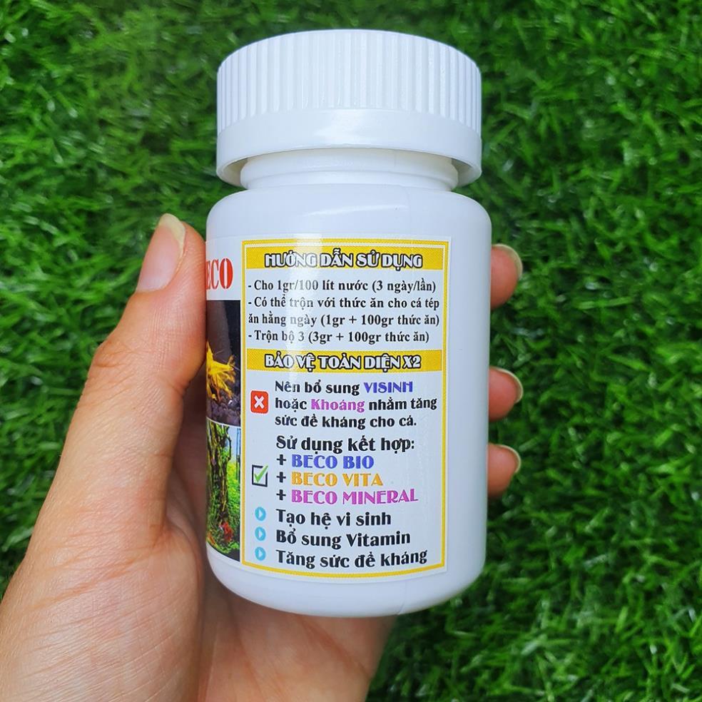 Vitamin Khoáng VITA BECO Dành cho cá tép