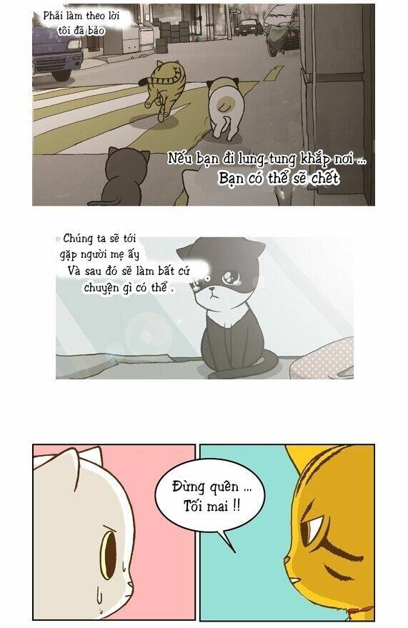 papi nyang chapter 15 18