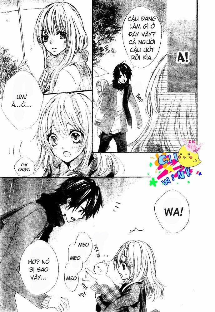 tình yêu của hiyo chapter 5 4