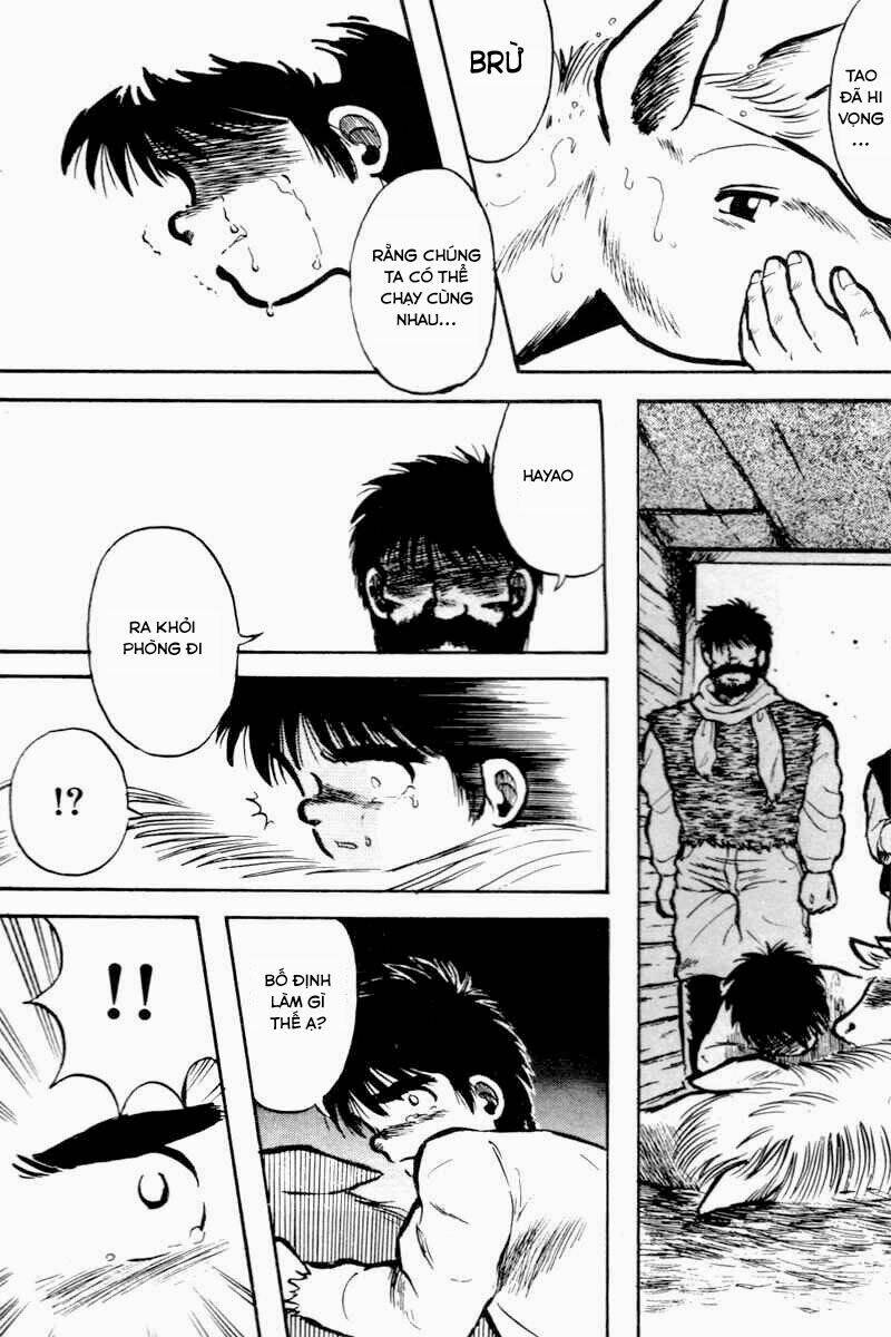 kaze no sylphid - phong mã silphid chapter 1 49