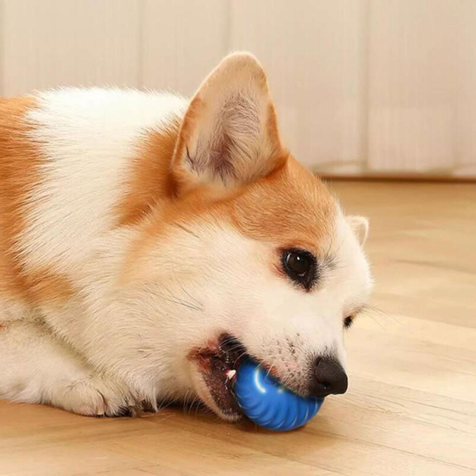 Interactive Cat Toy Ball Moving Rolling Pets Toy Ball Silicone Training Resistant to Bite Electric Automatic Pet Exercise Ball