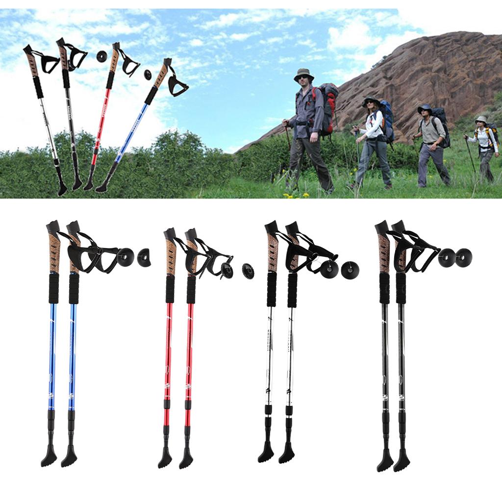 2pcs Folding Trekking Walking Hiking Sticks Poles Camping Cane Bag