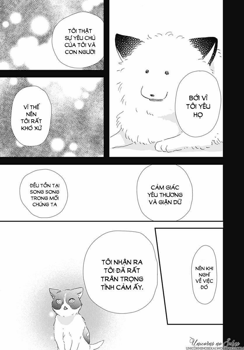 kimi to wonderland chapter 5 23