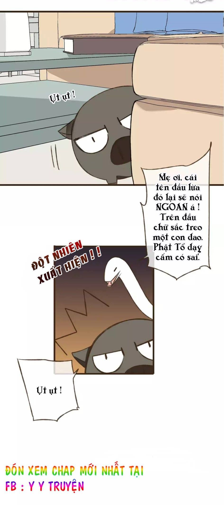 trên trời rớt xuống một hòa thượng ngốc chapter 37 21