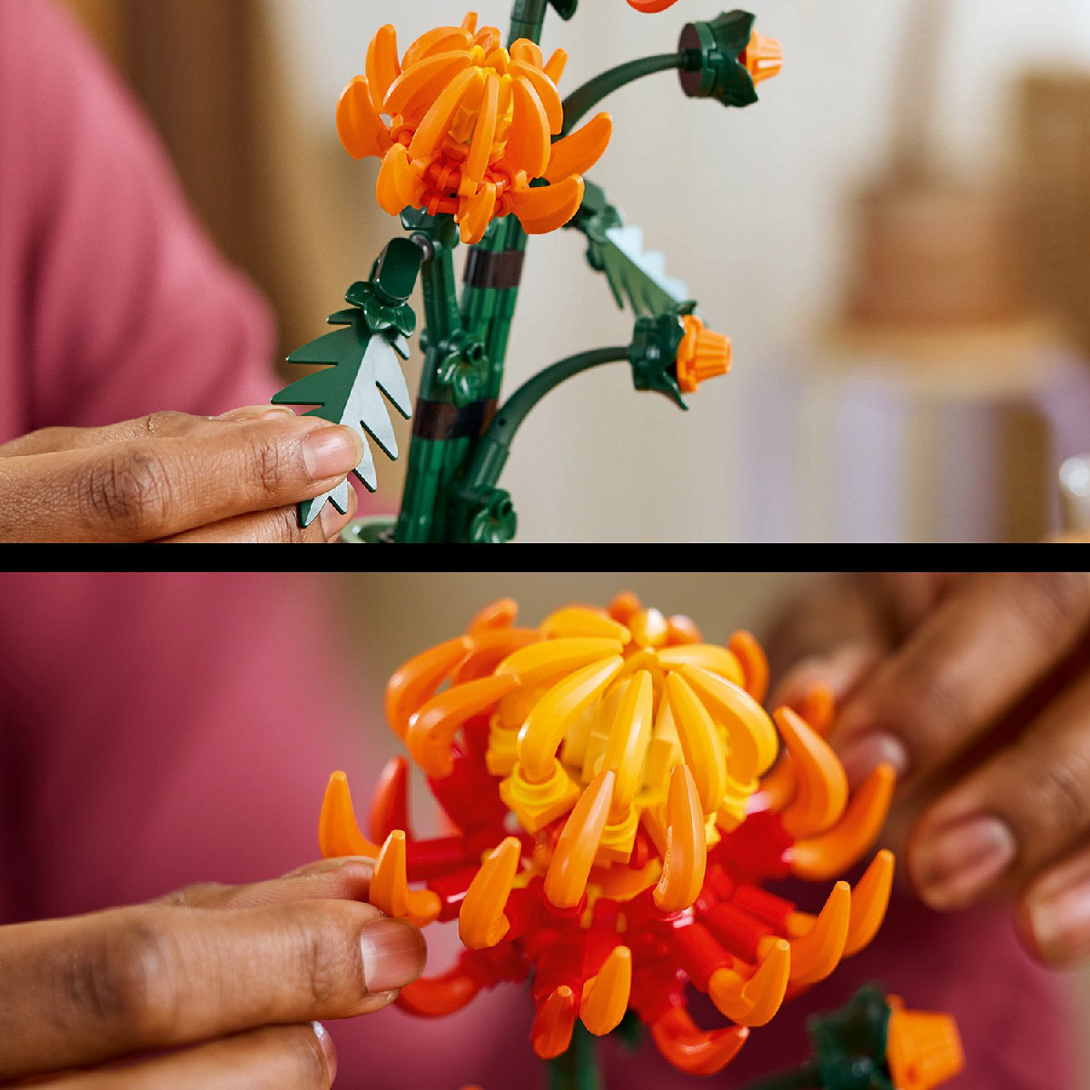 LEGO ADULTS 10368 Đồ Chơi Lắp Ráp Chậu Hoa Cúc Đại Đóa (278 Chi Tiết)