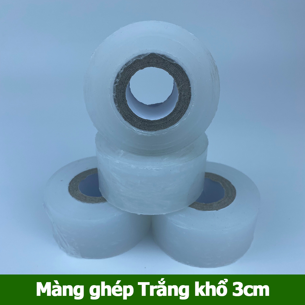 Màng ghép cây tự dính tự hủy