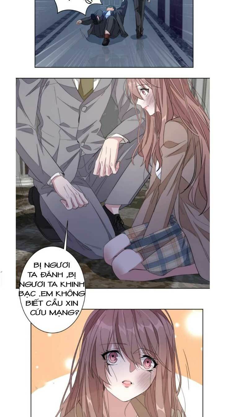 hào môn hôn đồ tựa cẩm chapter 8 11