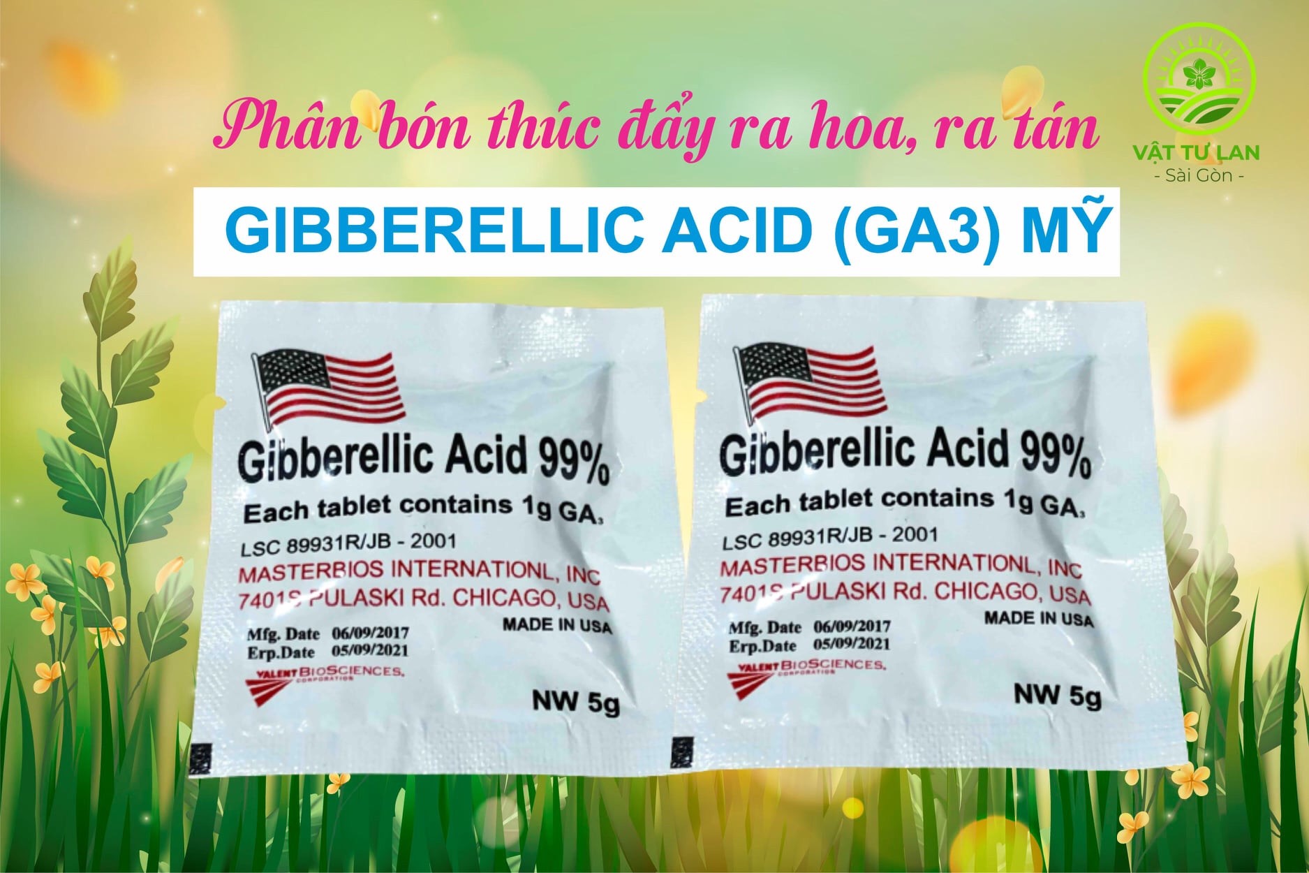 Phân bón thúc đẩy ra hoa ra tán Gibberellic Acid MỸ