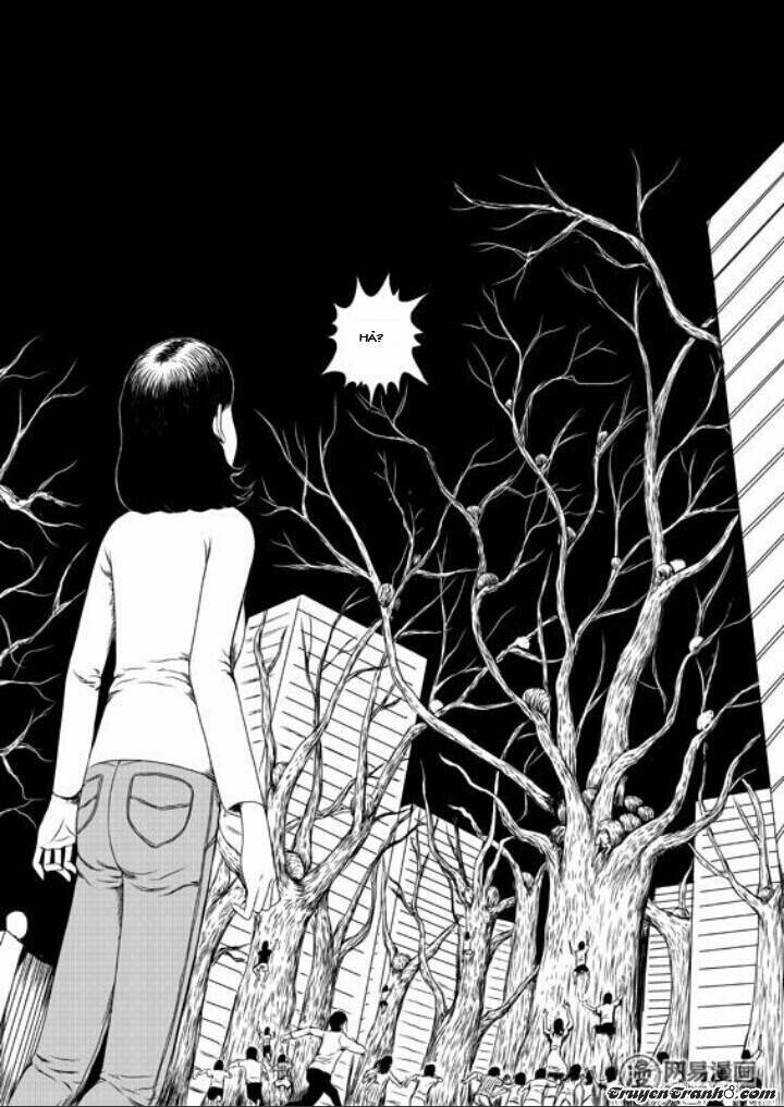 tổ chim chapter 1 23