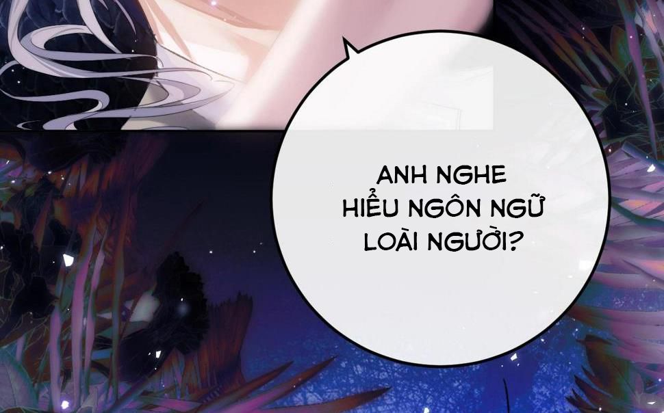 người cá desahrow chapter 3 17