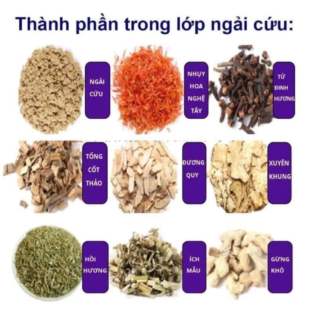 Thảm Ngải Cứu GDV, Đệm Sưởi Điện Ngải Cứu Đông Y Thảo Dược, Hỗ Trợ Giảm Đau Mỏi Vai Gáy - Hàng Chính Hãng