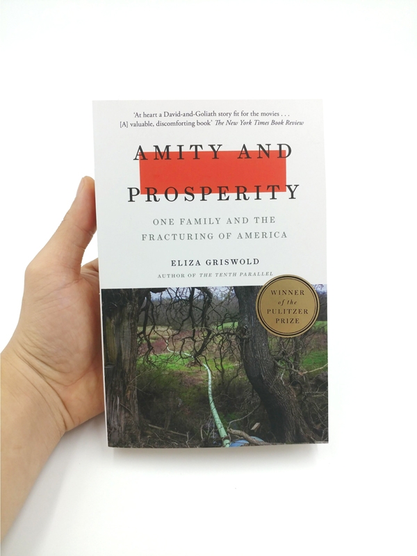 Amity and Prosperity: One Family and the Fracturing of America - Winner of the Pulitzer Prize for Non-Fiction 2019