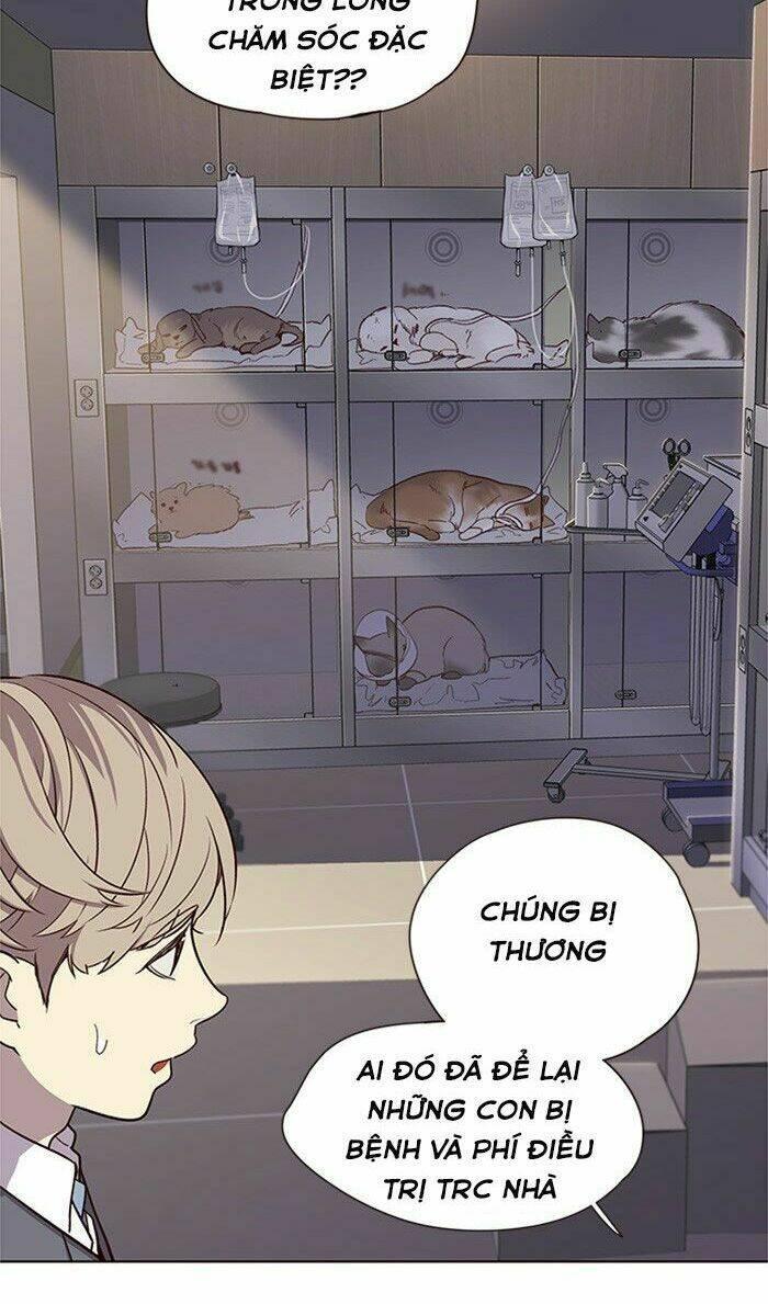 biến thân thành mèo chapter 10 46