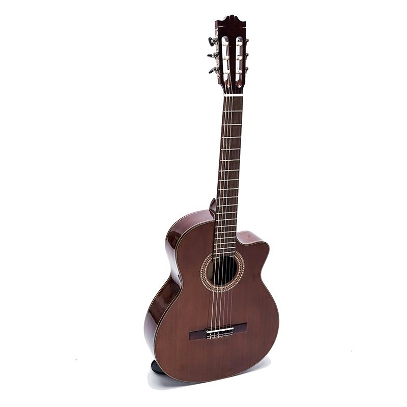 Guitar Classic DC250