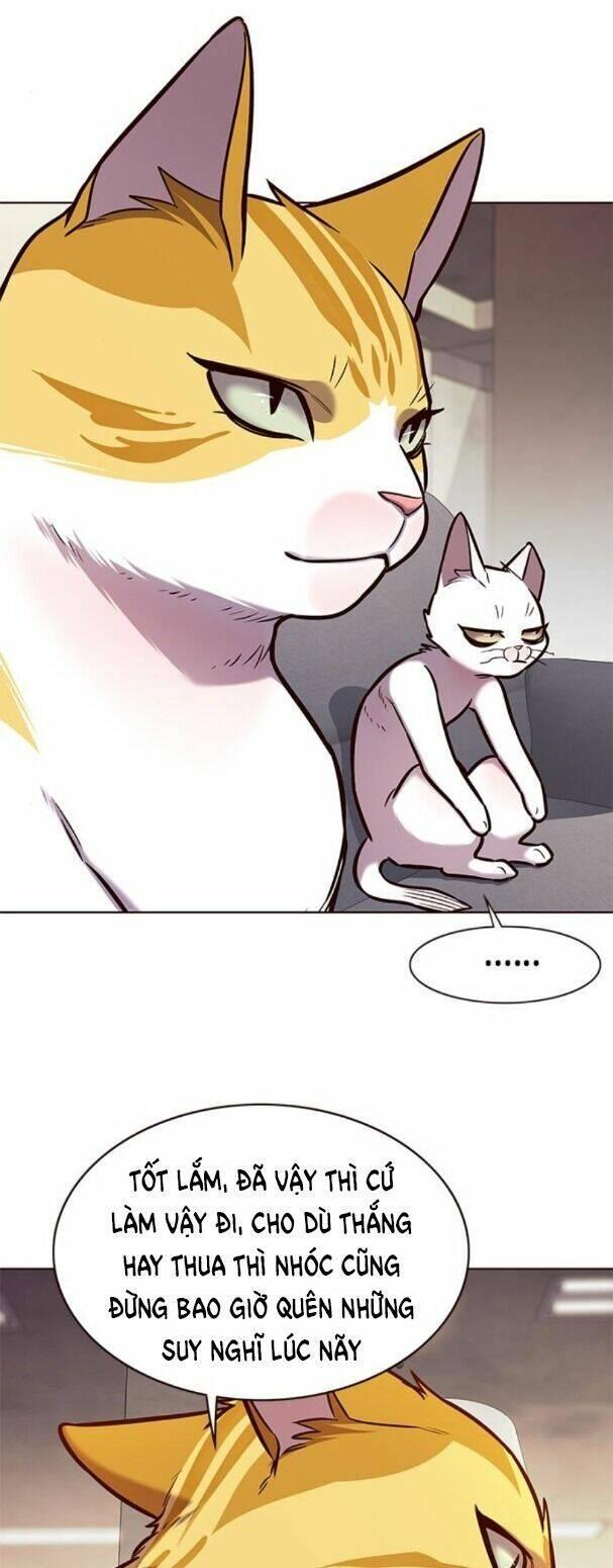biến thân thành mèo chapter 173 29