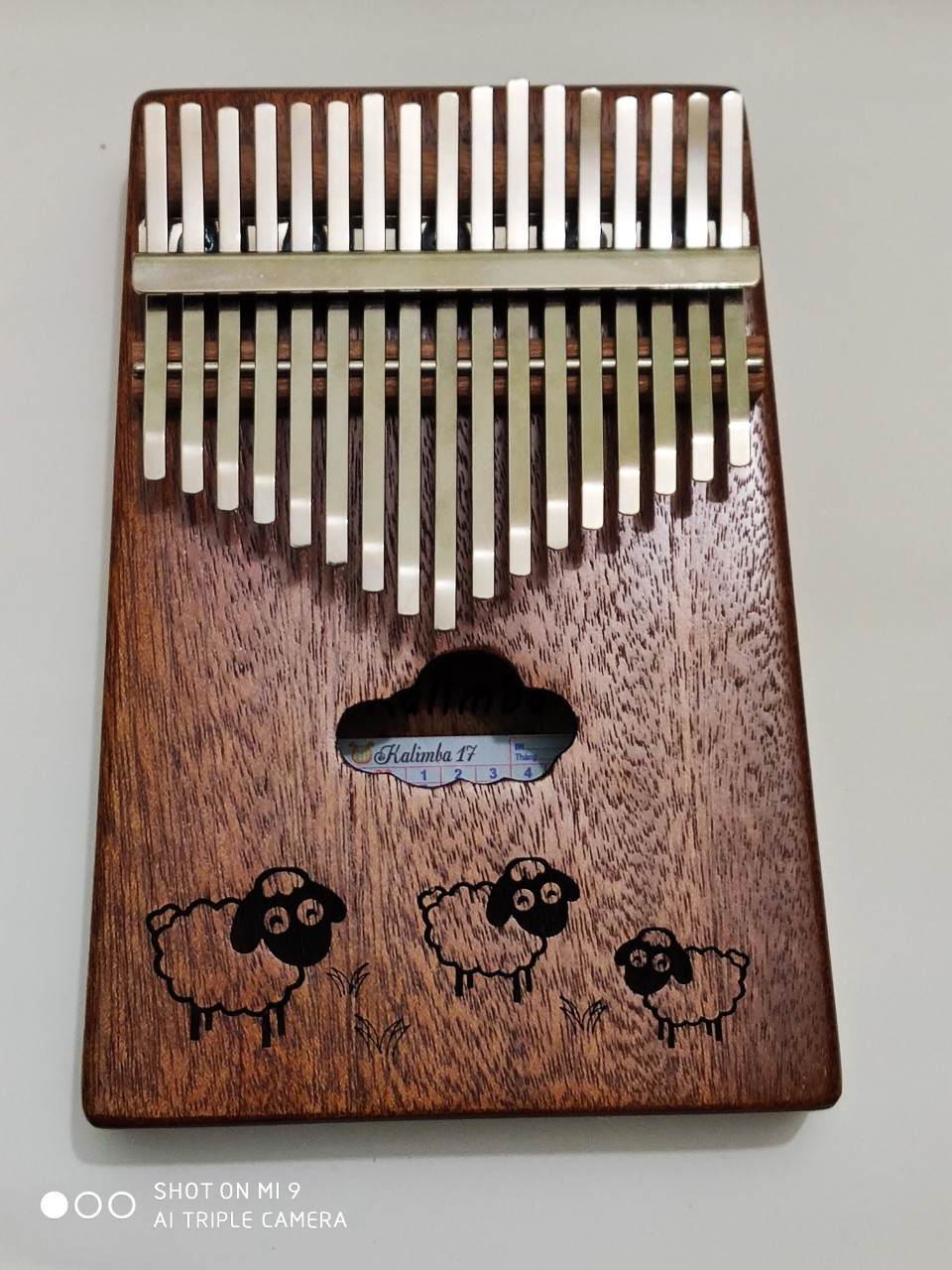 Đàn kalimba 17 phím hoạt hình IM667-KLI001- Đầy đủ phụ kiện, âm vang, phím chuẩn