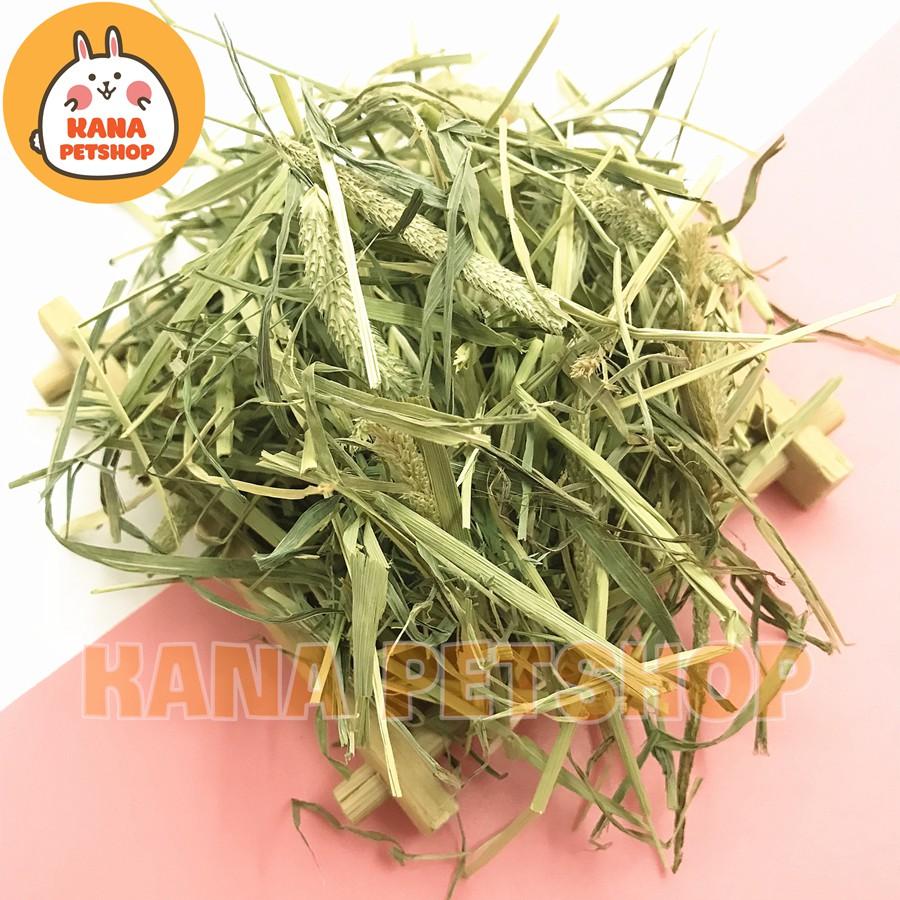Cỏ Timothy Giảm 5k Khi Nhập Cỏ Timothy Canada cắt sẵn 3 lần Siêu Ngon Dành Cho Thỏ, Bọ , Chinchi.