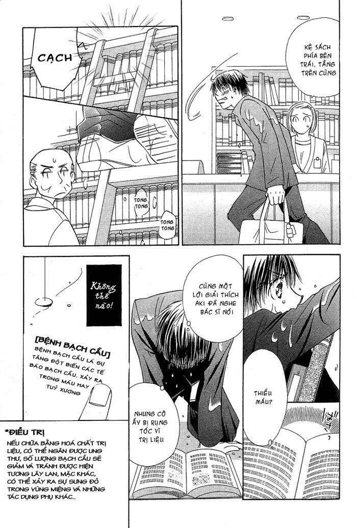 tiếng gọi tình yêu từ giữa lòng thế giới chapter 3 19