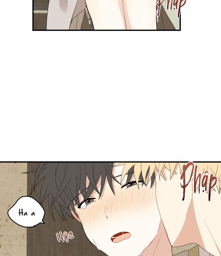 đường hoa liên kiều rơi chapter 21 64