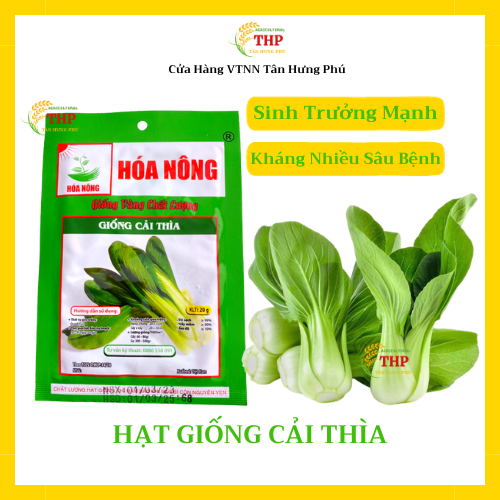 Hạt giống Cải Thìa | Hạt Giống | gói 20gr