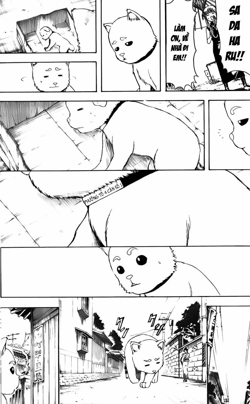 gintama - linh hồn bạc chapter 402 7