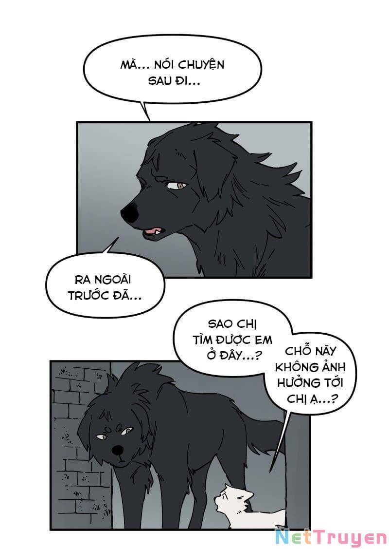 lumine - cội nguồn ánh sáng chapter 160 10