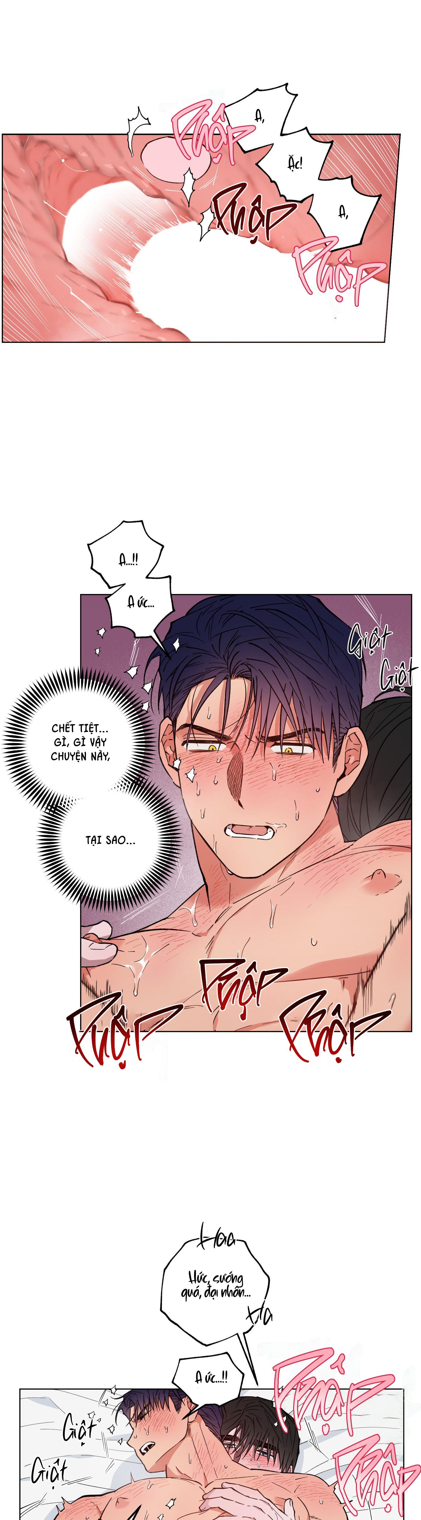 bình minh, mây và sông chapter 13 13