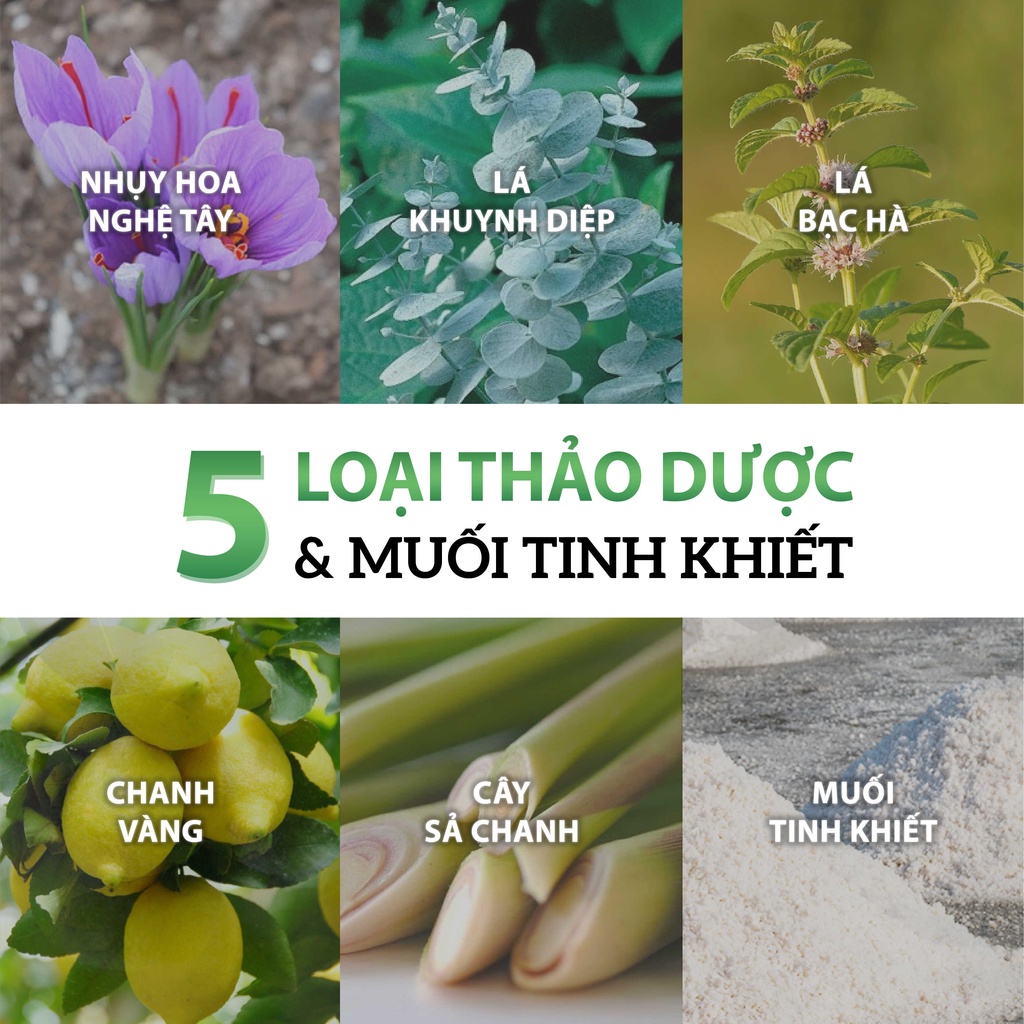 Nước Súc Miệng 5 Loại Thảo Dược Hơi Thở Thơm Mát, Làm Dịu Cho Khoang Miệng Nhạy Cảm MILAGANICS 240ml